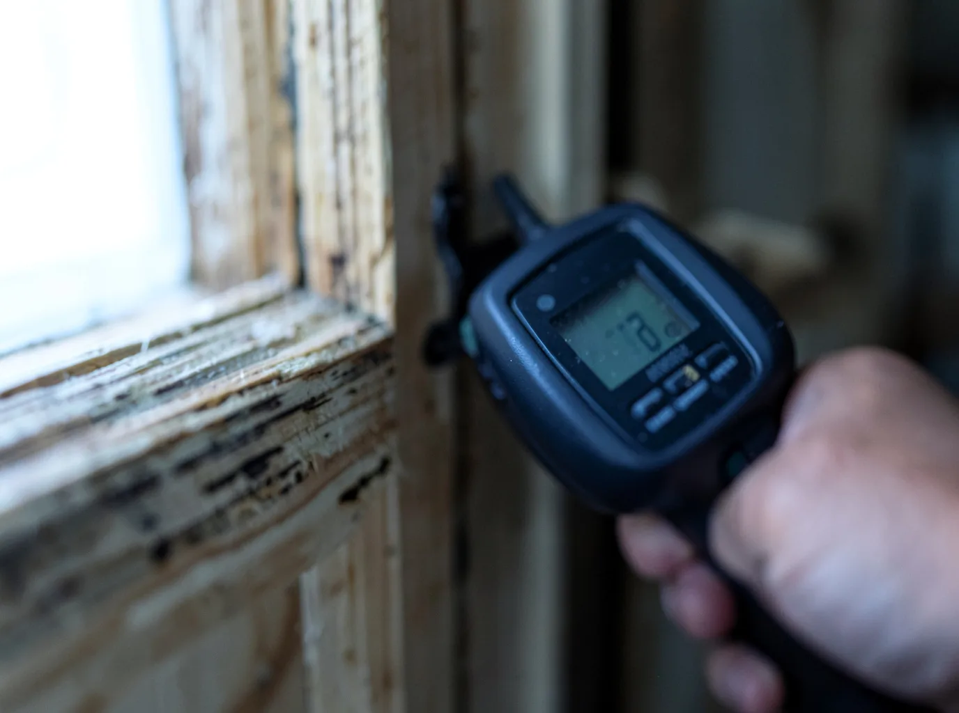 Moisture Inspection And Documentation in Gales Ferry, CT